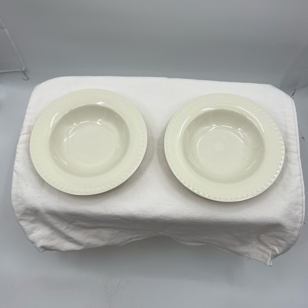 Gail Pittman Hospitality Collection SLAH 10" individual pasta bowls Set of 2